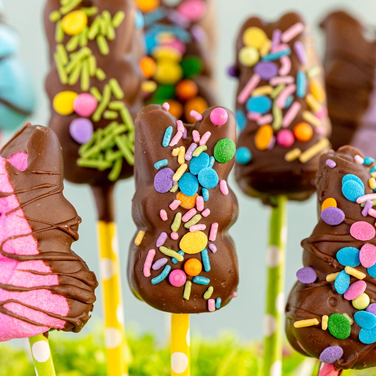 Chocolate Dipped Peeps Pops